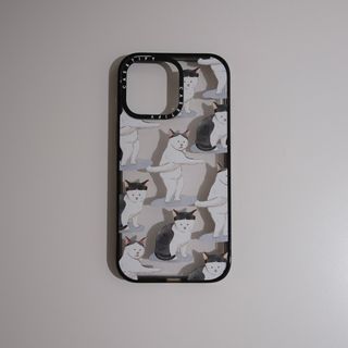 casetify 15 pro max