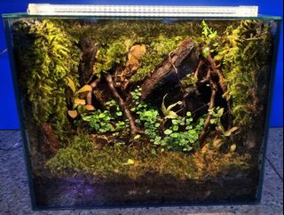 (Category: ) located in . Submitted by weisscream (Listing ID 1263630106, Image 1). Description: .
