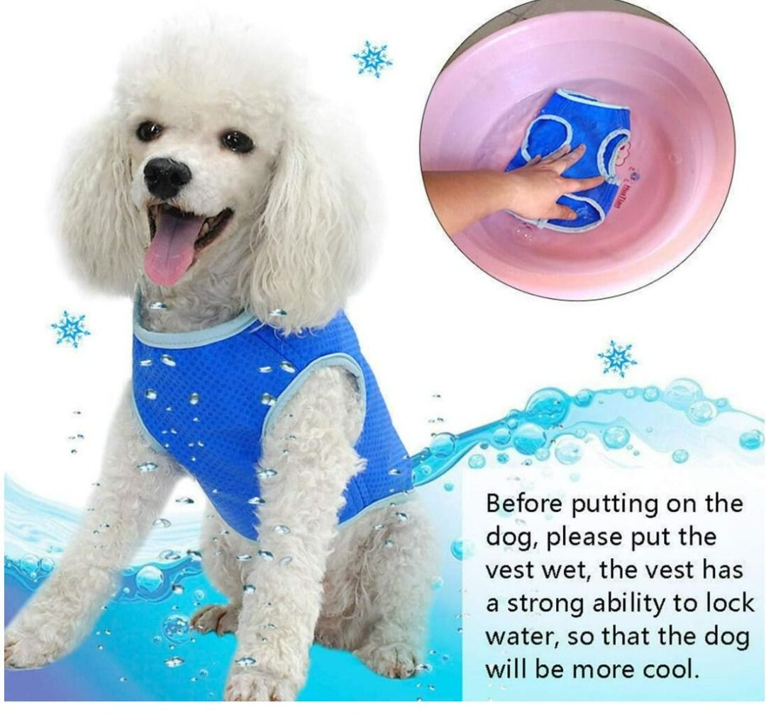 Ice jacket for dogs on sale