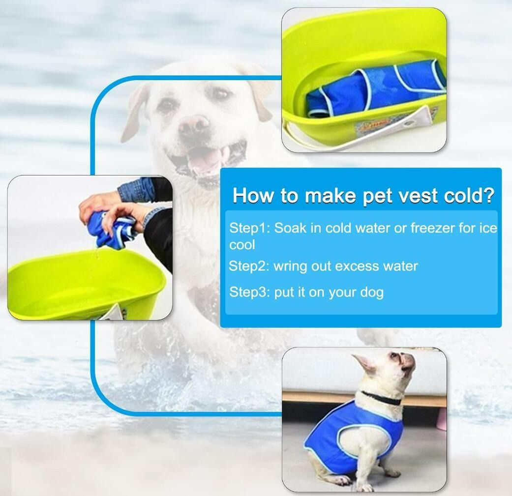 Ice jacket for dogs hotsell