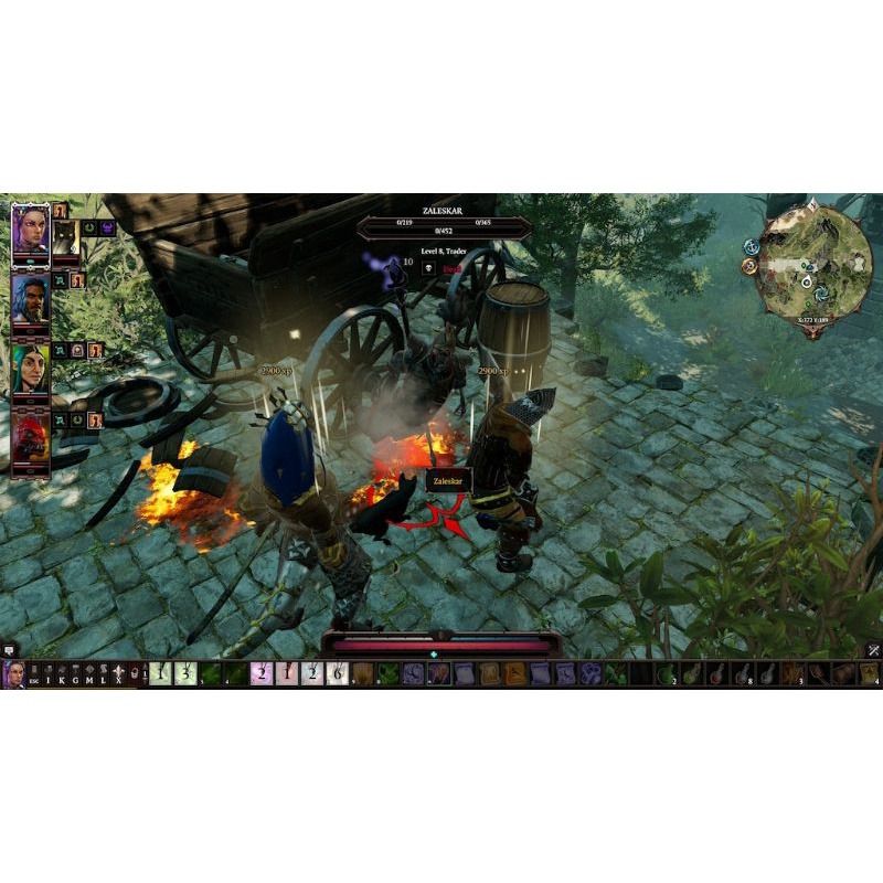 Divinity Original Sin II 2 Nintendo switch