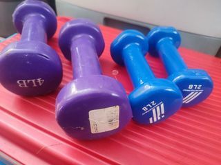 Pair of Dumbbells 2lbs and 4lbs