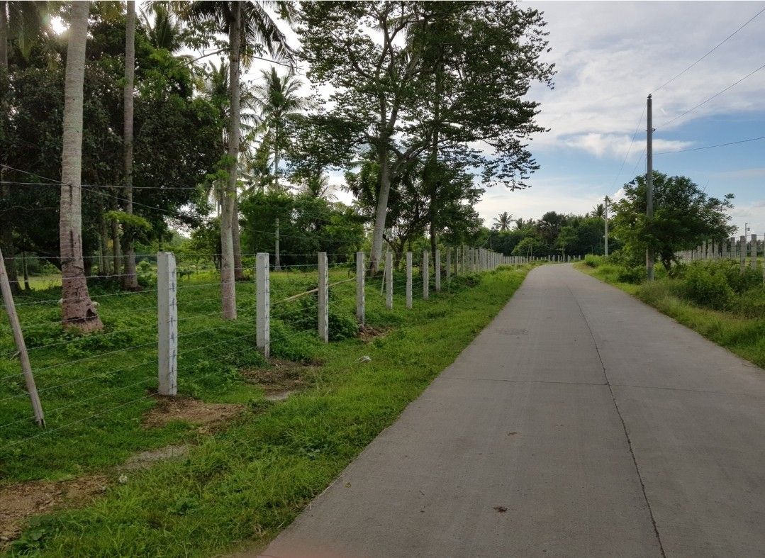Farm for sale Rosario Batangas, Property, For Sale, Lot on Carousell