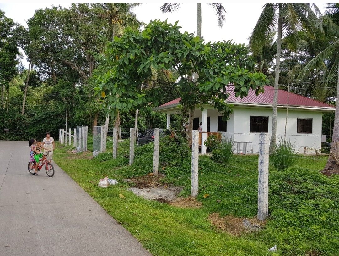 Farm for sale Rosario Batangas, Property, For Sale, Lot on Carousell