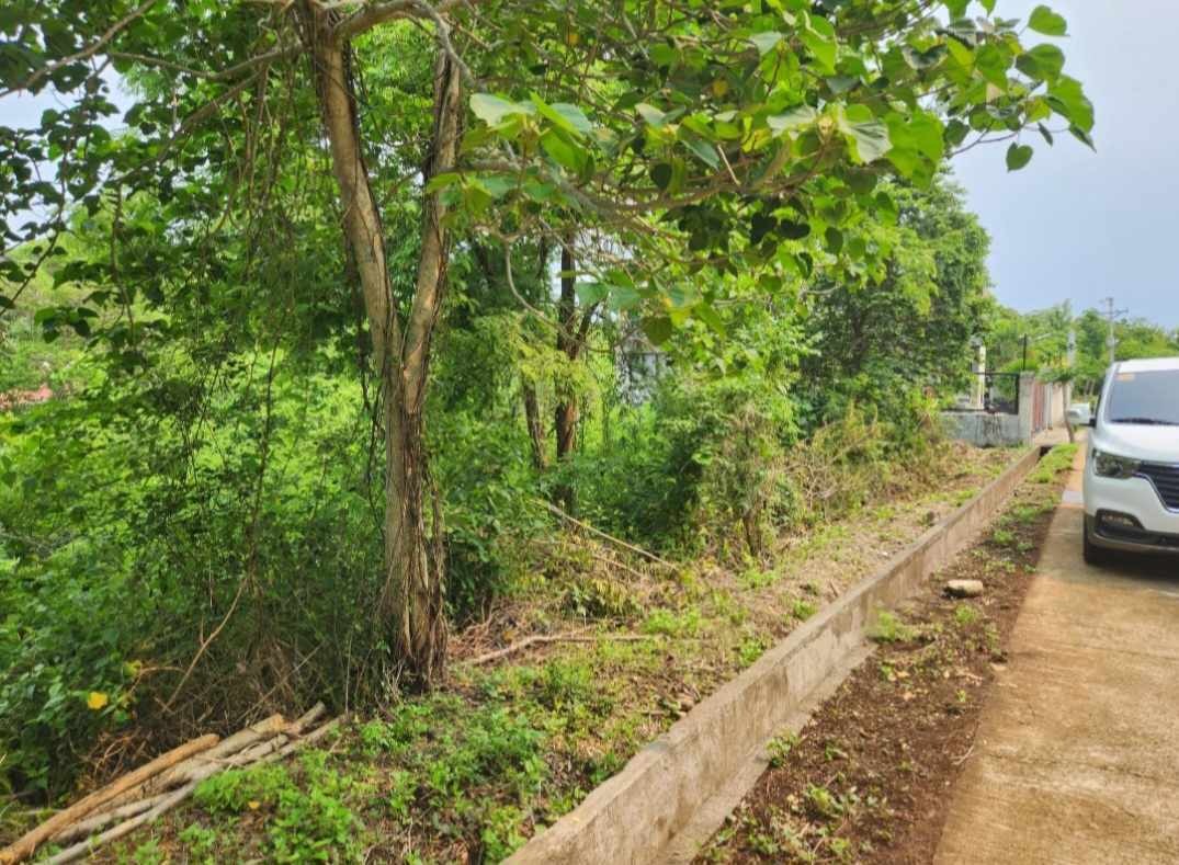 FOR SALE! 750sqm Beachfront Lot at Tali Beach, Nasugbu Batangas