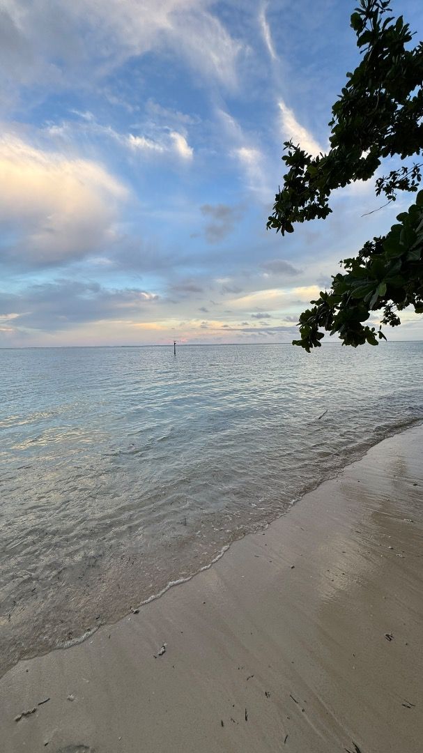 For Sale Beach Front Beach Property in Gen Luna Siargao along