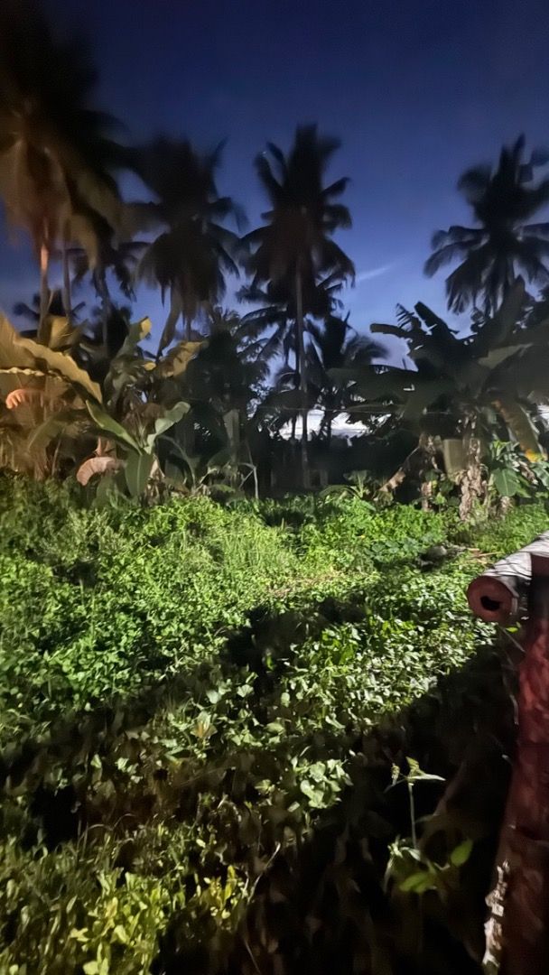 For Sale Beach Lot in Gen Luna Siargao near Sunset Bridge, P742.38M