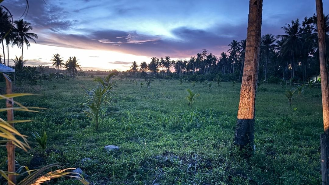 Siargao Beach Lot in Gen Luna Siargao near Sunset Bridge, P742.38M