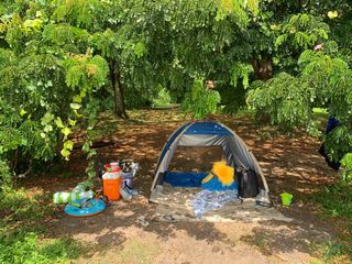 (Category: ) located in . Submitted by mike1w (Listing ID 1263587902, Image 1). Description: .