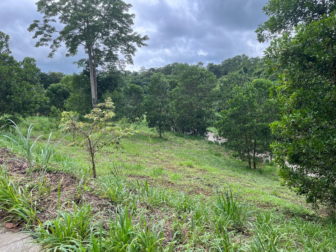Installment Payment| Sun Valley Antipolo (Category: Lot) located in Taguig. Submitted by tanyapropertywise (Listing ID 1263640630, Image 3). Description: *22Kpsqm | 9years more to pay @ 8%pa *797sqm (381+416) Facing NE sloping down *1,191sqm (398+404+389) Facing SW sloping up Sun Valley Residential Estates is a low density and nature friendly community situated in Antipolo, Rizal. Top reasons to invest or live in Sun Valley: 1. Its nestled in an 