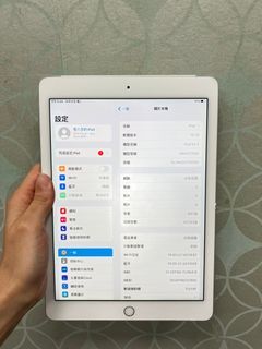 iPad Air 2 64G LTE 銀色