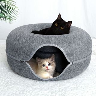 (Category: ) located in . Submitted by sbeautify (Listing ID 1263694045, Image 1). Description: .