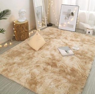 Long Fur Fluffy carpet