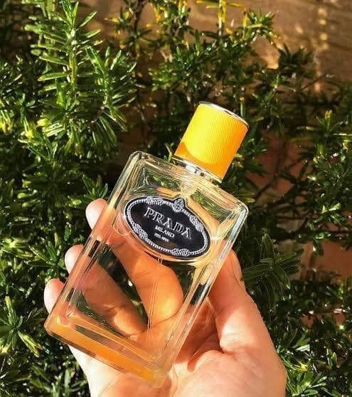 Prada infusion de mandarine 100ml discount