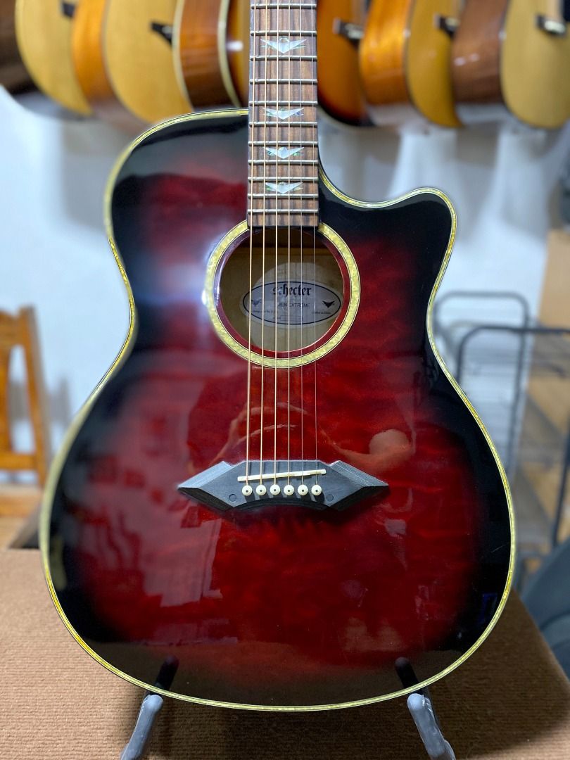 Schecter Omen Extreme Acoustic Guitar Hobbies Toys Music