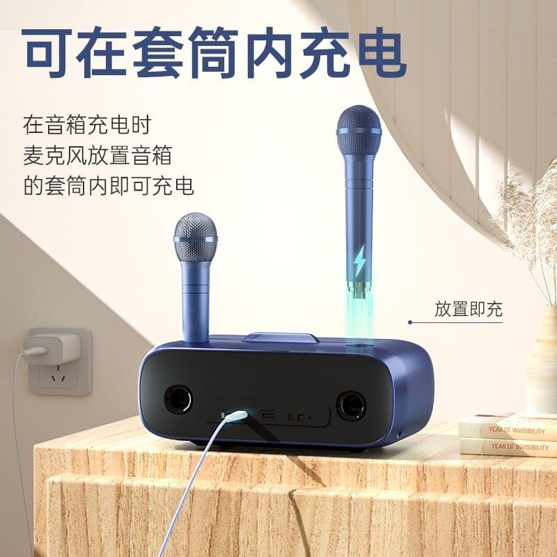 SDRD SD318 - Family Karaoke Amplifier Sound System with Dual Wireless ...