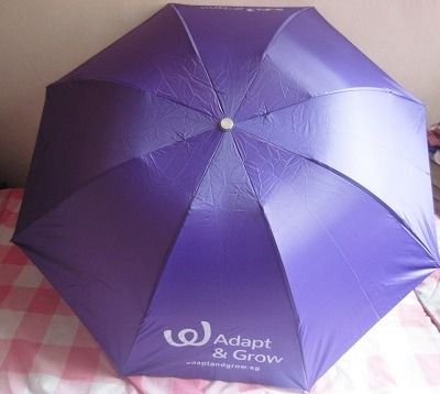 Imported Louis Vuitton White Umbrella ☂️, Hobbies & Toys, Travel, Umbrellas  on Carousell