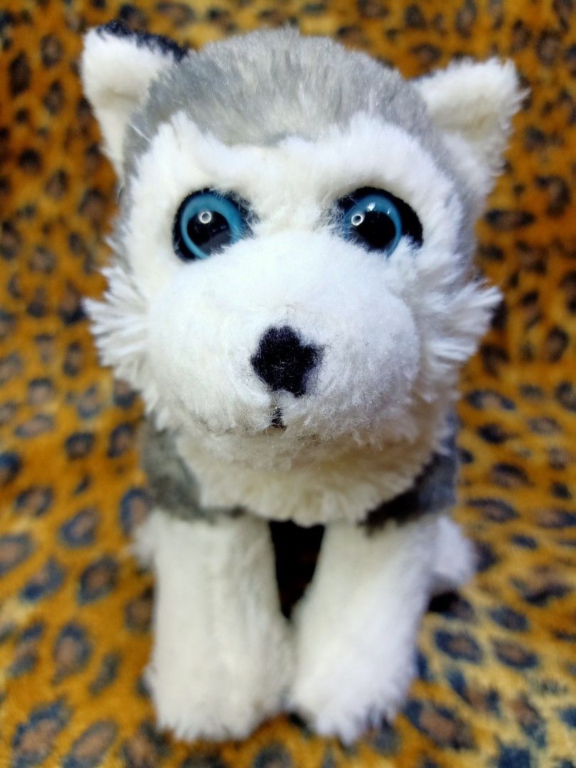 Wild republic discount husky