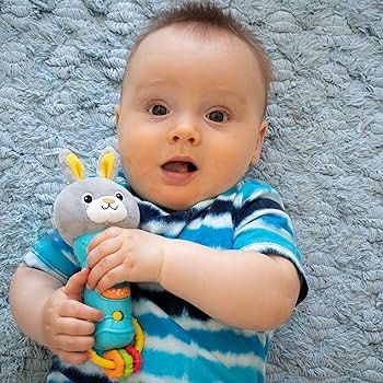Microphone rattle hot sale