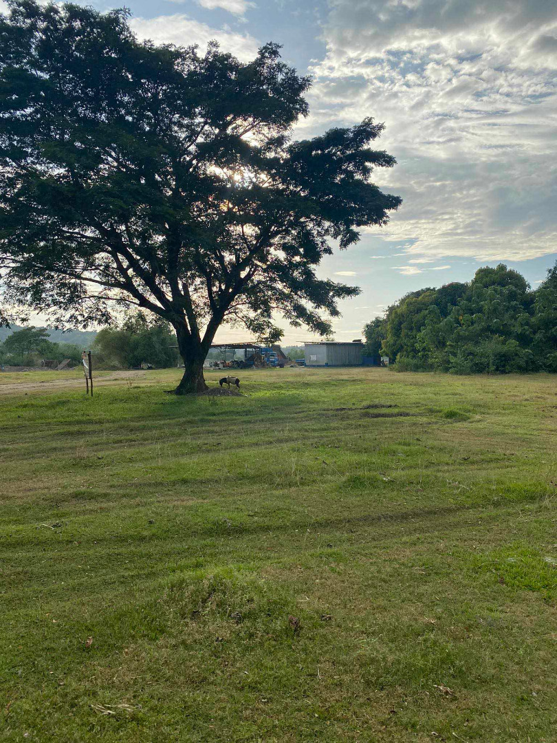 𝐅𝐎𝐑 𝐒𝐀𝐋𝐄 Agricultural Lot 100,000 Sqm., Bauang La Union, Property