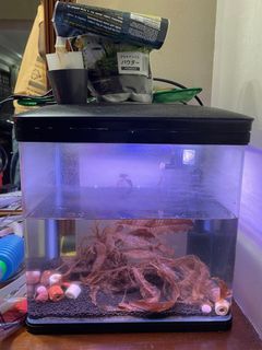 (Category: ) located in . Submitted by naanben (Listing ID 1267655888, Image 1). Description: .