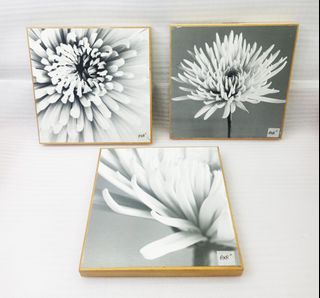 Assorted 8"x8" wood with monochrome flower printed photograph wall decor for 175 each *U25