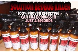 BED BUG KILLER SOLUTION