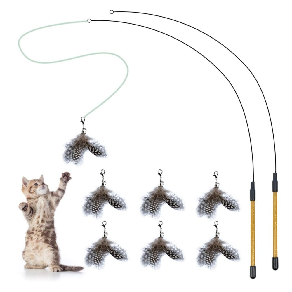 Cat Feather Toys, Interactive Cat Toys Kitten Toys, 2PCS Elasticity Cat  Wand Toy and 7PCS Feathers Refills, Cat Toys for Indoor Cats Kitten Play  Chase APJT0110, Pet Supplies, Homes & Other Pet