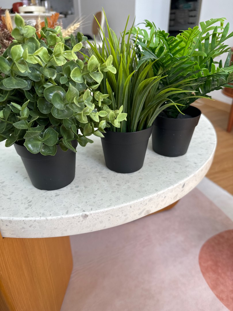 3 IKEA artificial plants, Furniture & Home Living, Home Decor