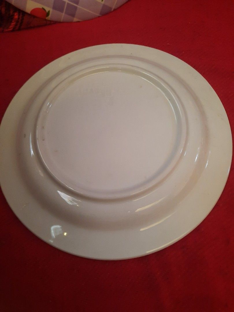 Pasta plate 8 inches ceramic fruit pattern 2 pcs set (Category: Dinnerware & Cutlery) located in Manila. Submitted by luckycharm_215 (Listing ID 1268578897, Image 2). Description: Ceramic pasta plate from Italy minor factory issue at the back.