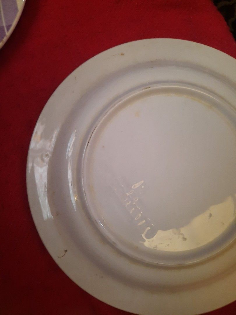 Pasta plate 8 inches ceramic fruit pattern 2 pcs set (Category: Dinnerware & Cutlery) located in Manila. Submitted by luckycharm_215 (Listing ID 1268578897, Image 3). Description: Ceramic pasta plate from Italy minor factory issue at the back.