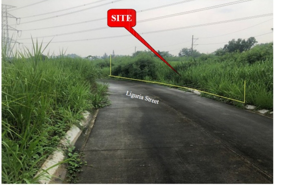 Vacant lot for sale in Dasmarinas Cavite, Robinson's Vineyard