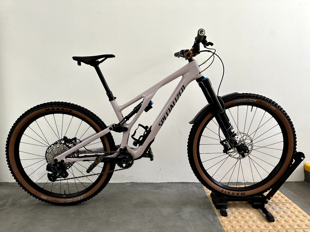 2021 stumpjumper 2024 evo