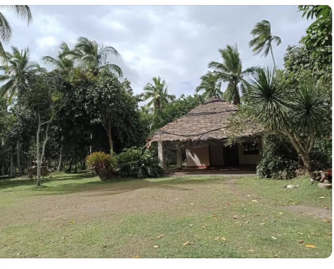 32,000 SQM Farm Lot in Liliw, Laguna, Property, For Sale, Lot on Carousell
