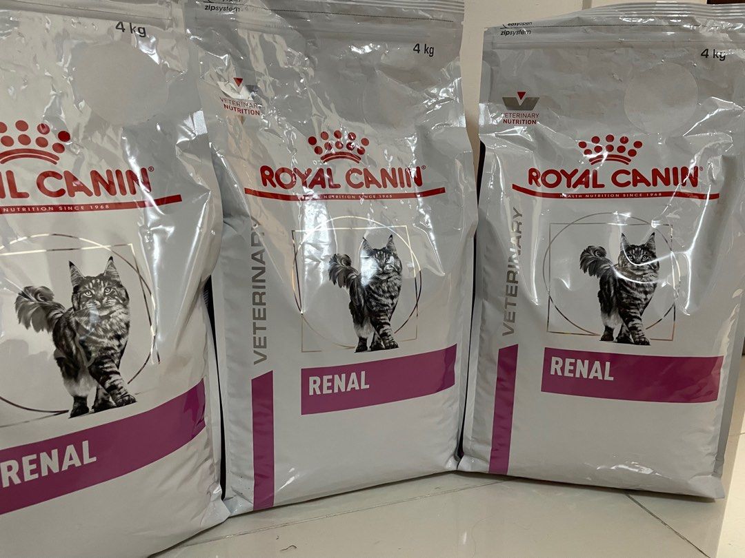 Royal canin renal cat 4kg free delivery whtapp 96I9 9384