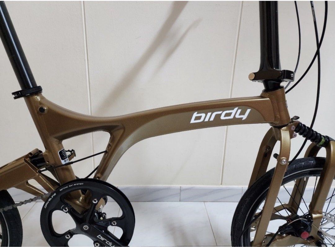 Pacific cycles birdy top