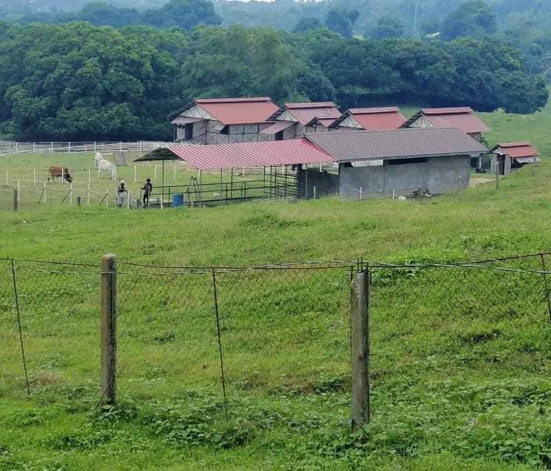 Farm lot Batangas Calatagan , Property, For Sale, House & Lot on Carousell