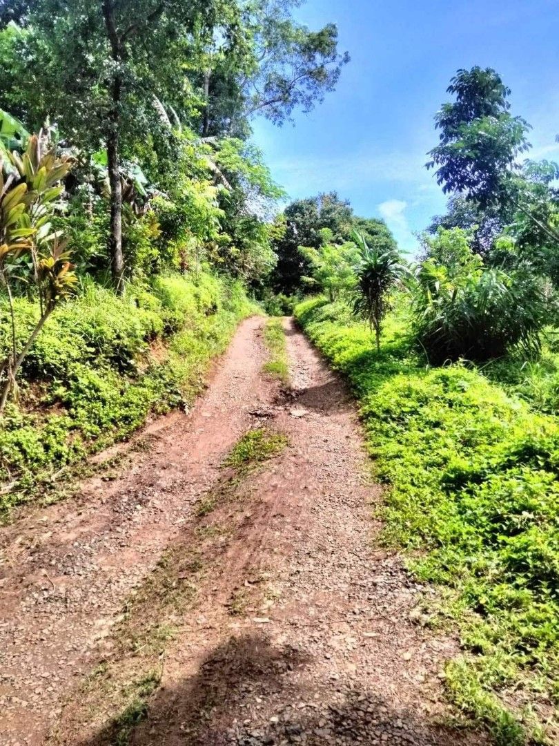Farmlot in Pinagsabiran Sampaloc Tanay Rizal, Property, For Sale, Lot