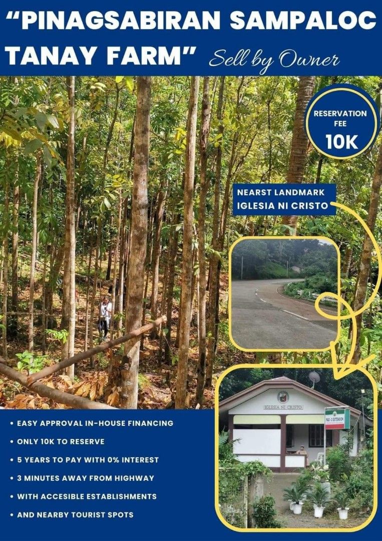 Farmlot in Pinagsabiran Sampaloc Tanay Rizal, Property, For Sale, Lot