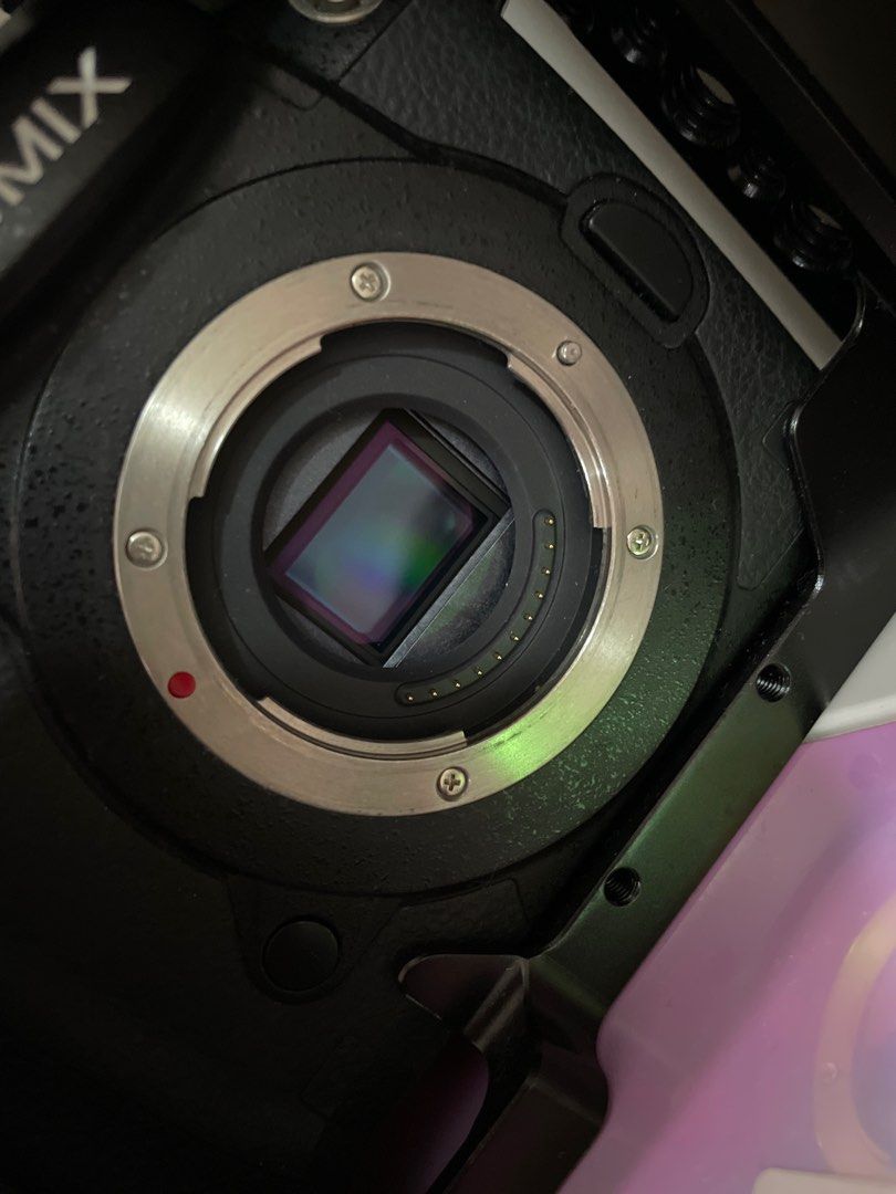 GH5 with 5 batteries cage dummy battery to dtap  Photography  