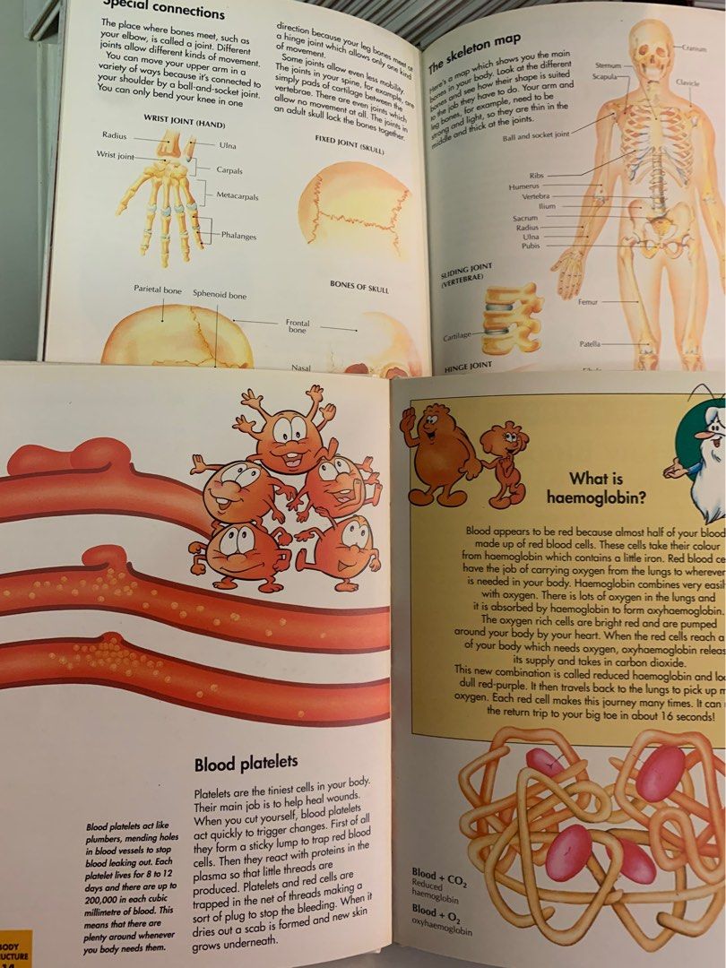 How My Body Works + anatomy set FULL COLLECTION, Hobbies & Toys, Books
