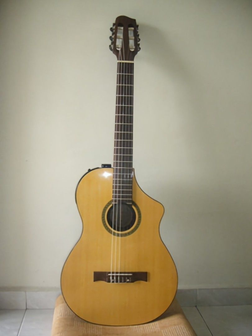 Line 6 deals variax 300 nylon