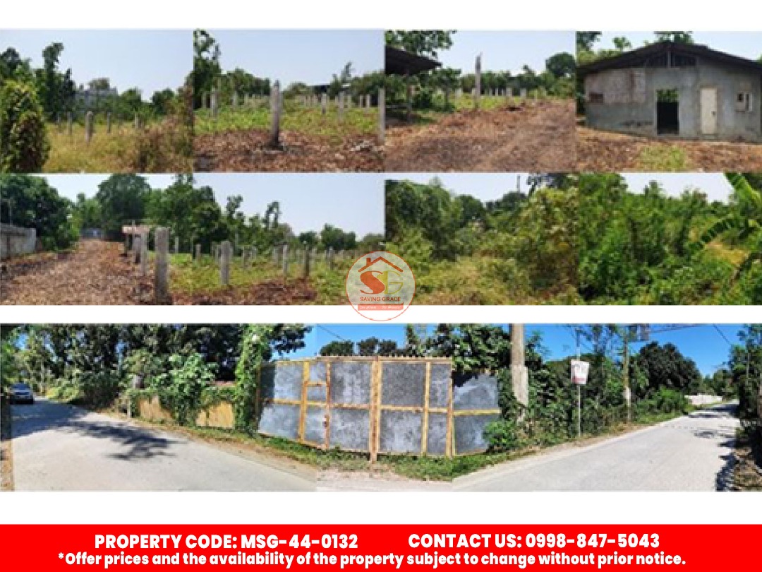 MSG440132 Brgy. Tuliao , STA. BARBARA, PANGASINAN Foreclosed