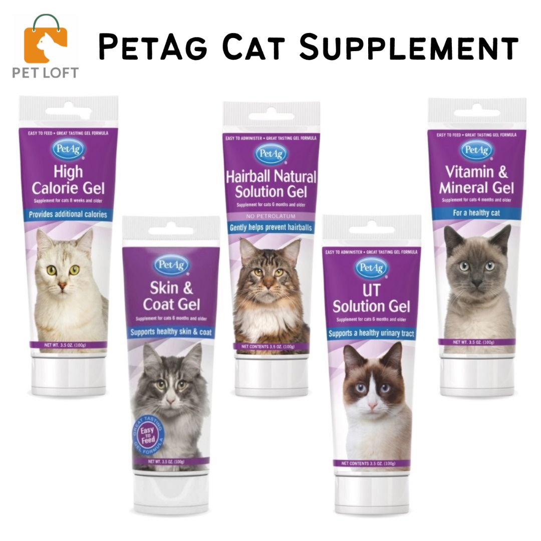 High calorie top booster for cats