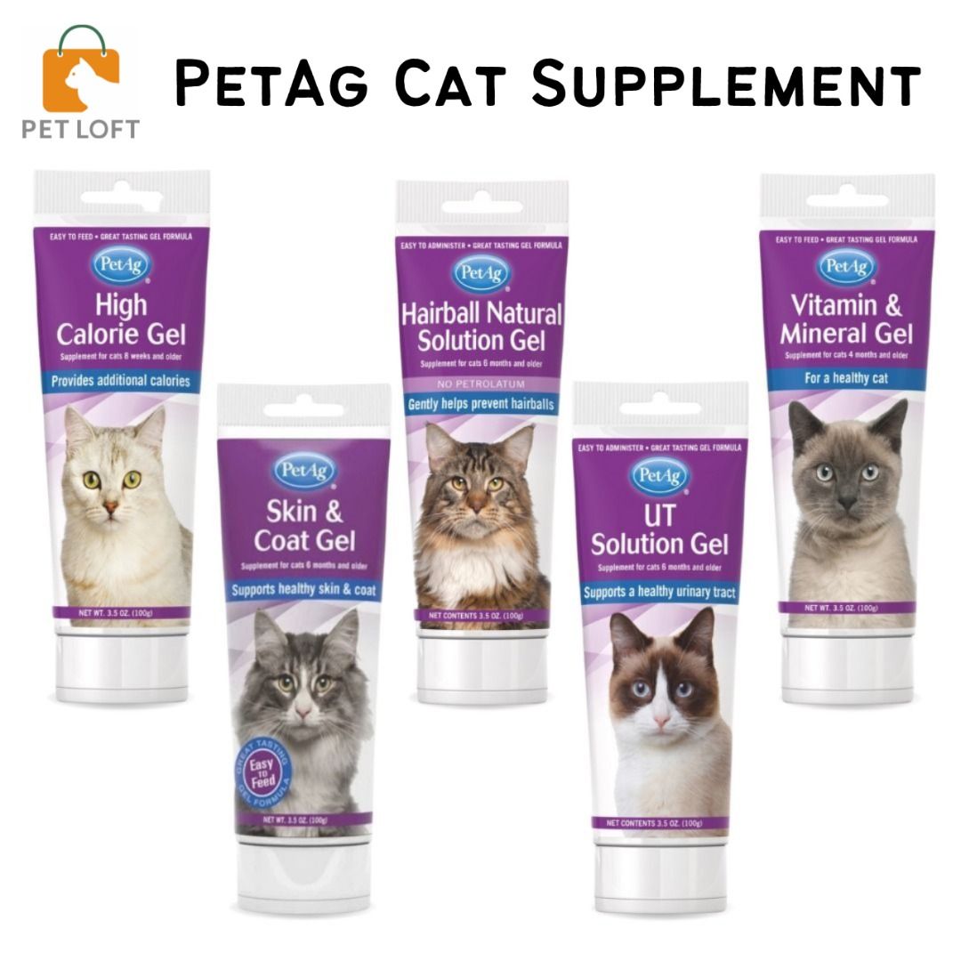 High calorie cat hot sale food for old cats