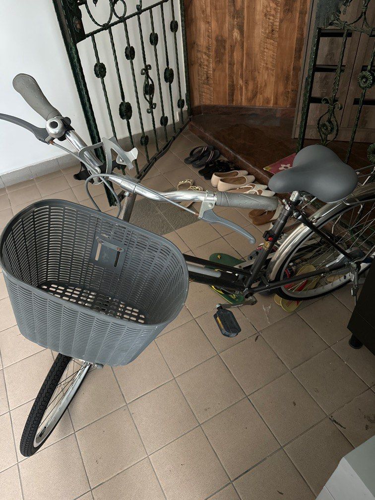 Raleigh Bicycle with Basket, Sports Equipment, Bicycles & Parts