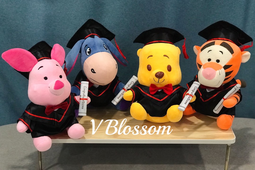 Eeyore hotsell graduation plush