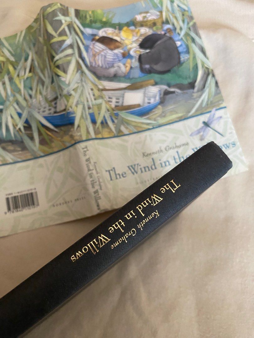 The Wind in the willows by Kenneth Grahame illustrated by Helen Ward ...