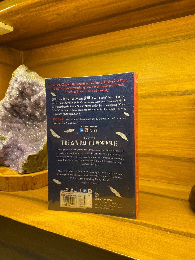 This is Where The World Ends by Amy Zhang (Category: Storybooks) located in Las Pinas. Submitted by ferrerf (Listing ID 1263806810, Image 3). Description: .