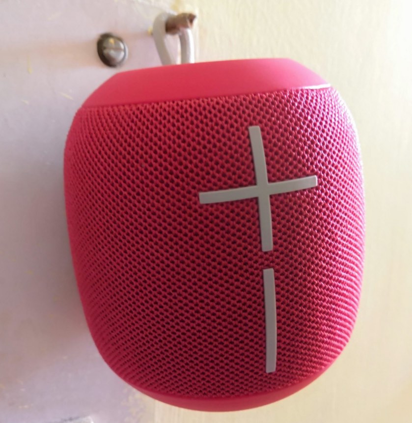 Raspberry wonderboom discount